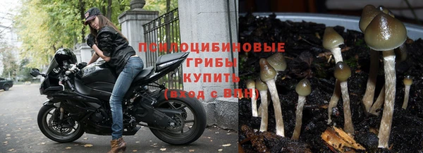 таблы Горняк