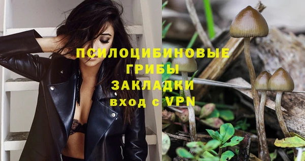 дмт Горно-Алтайск
